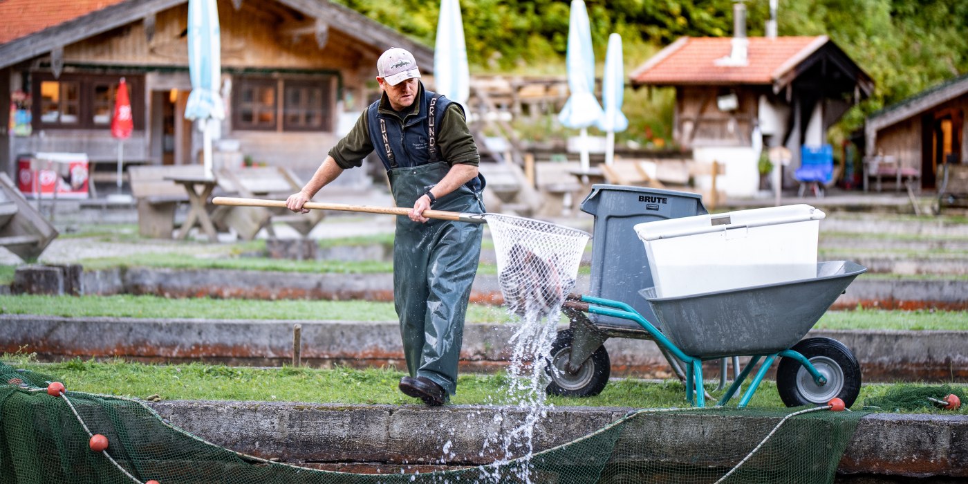 &copy; DER TEGERNSEE, Thomas Plettenberg_Fischzucht_0004, &copy; DER TEGERNSEE