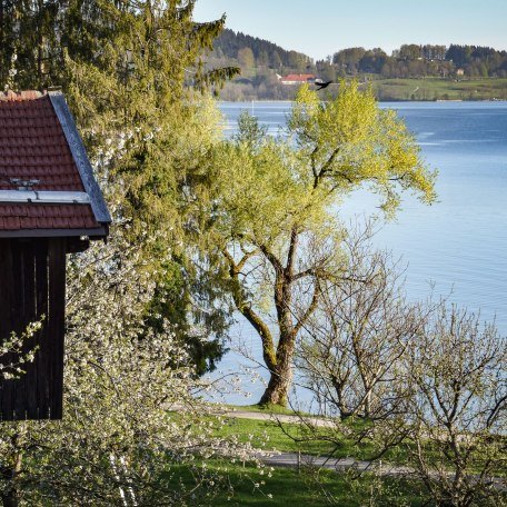 Seeblick, &copy; im-web.de/ Tourist-Information Bad Wiessee