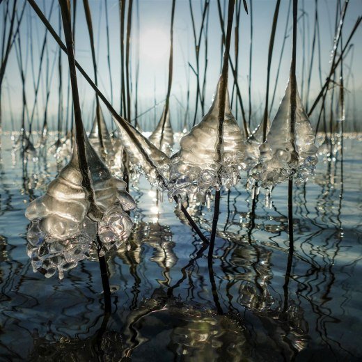 Orte Winter, © Der Tegernsee (Max Luther)