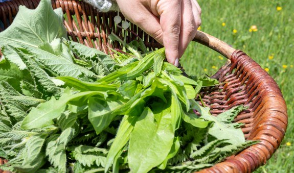 TTT_0624_TP_TegernseeTalk_Superfood_0031, &copy; TTT-Plettenberg