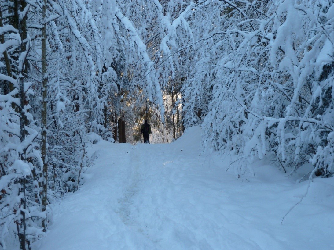 Schneeschuhtour mit Sonntagsbrunch im historischen Hasen&ouml;hrlhof, &copy; BR Willy Kravanja