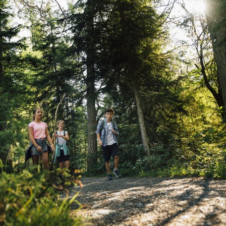 Familien Erlebnispfad an der Weissach, © Julian Rohn