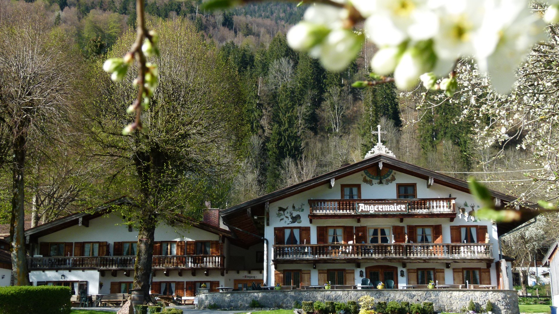 Cafe Angermaier