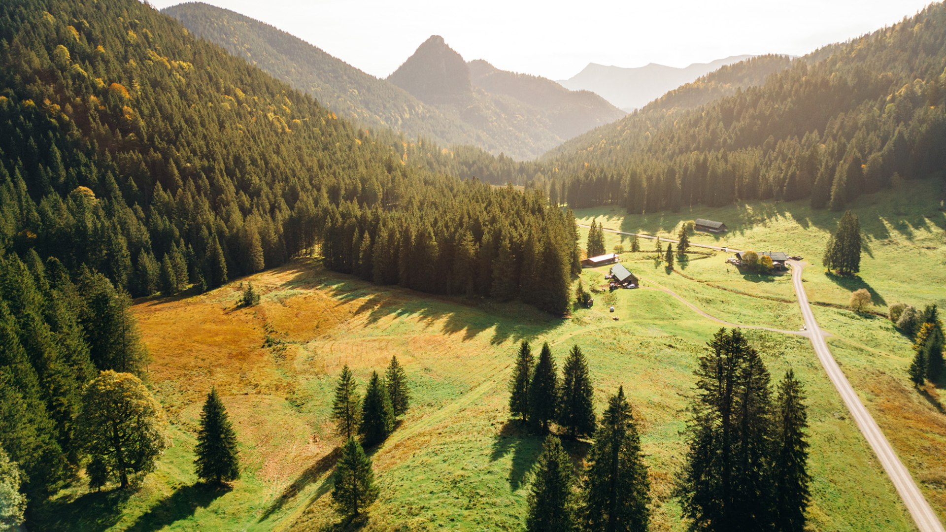 Musi auf der Alm, © Julian Rohn