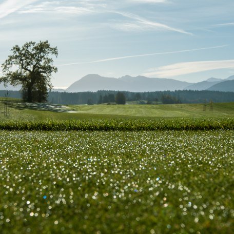 golfplatz_tegernsee-1-von-23