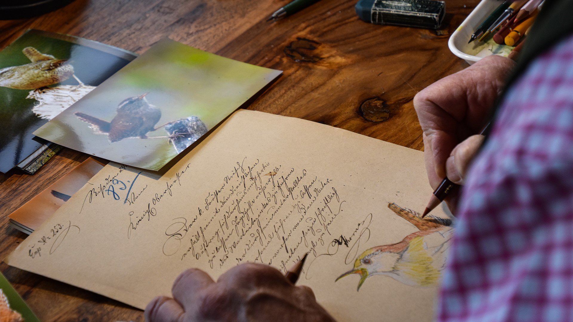 Klaus Altmann Aquarelle