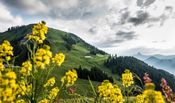 Blick zum Setzberg, &copy; Der Tegernsee