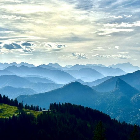 02, © Chrissy Dorn 02, © Chrissy Dorn