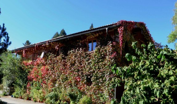 Blick auf das FeWo-Gebäude im Herbst, © im-web.de/ Tourist-Information Gmund am Tegernsee