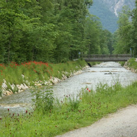 https://d1pgrp37iul3tg.cloudfront.net/objekt_pics/obj_full_31350_016.jpg, © im-web.de/ Tourist-Information Rottach-Egern