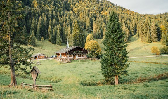 NK_KeyVisual_Musi Schwarzentenn Alm &copy; Julian Rohn_0011, &copy; DER TEGERNSEE