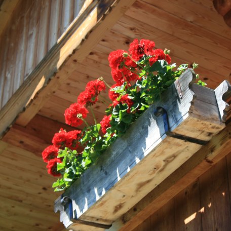 https://images.bs.ds-srv.net/objekt_pics/obj_full_31488_011.jpg, © im-web.de/ Tourist-Information Rottach-Egern