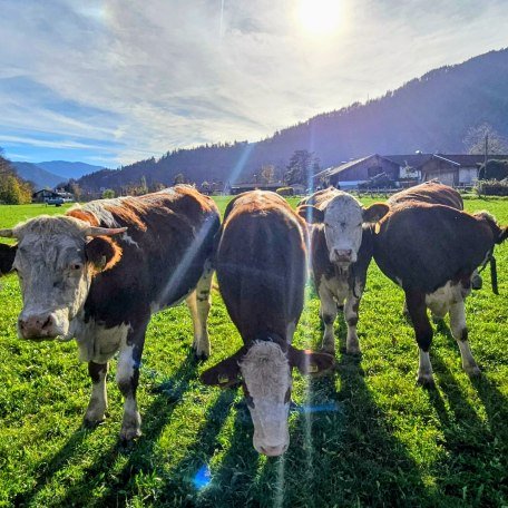 Nachbarn, &copy; by S. H.-P.