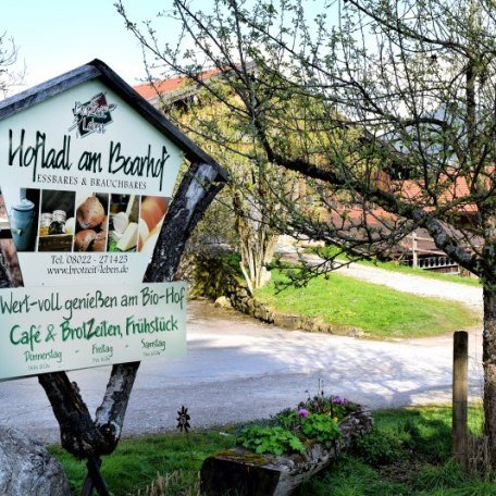 boarhof_10_1 boarhof_10_1