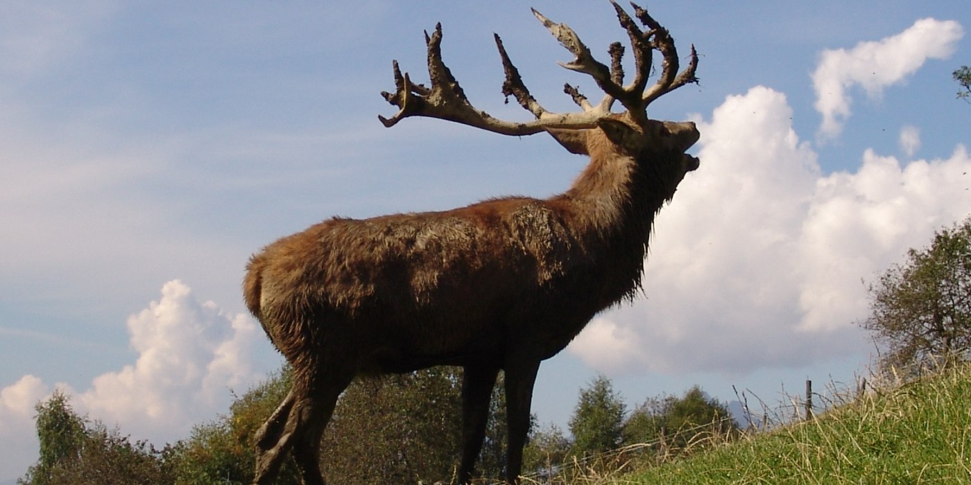 bild-6, © Rose Travel bild-6, © Rose Travel