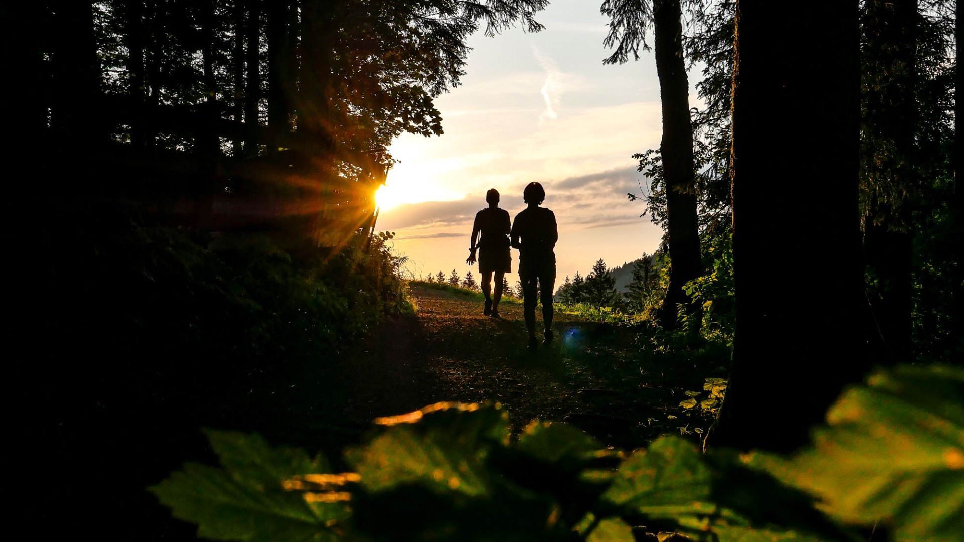 Höhenweg Herbst, © Der Tegernsee (Isabelle Munstermann)