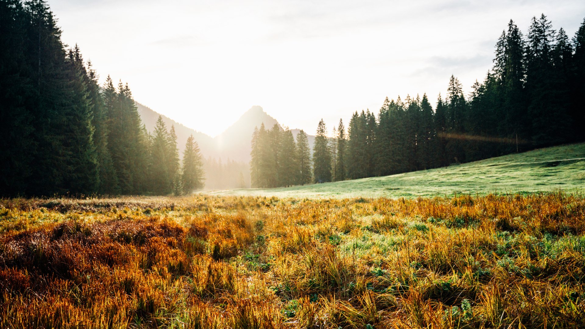 &copy; DER TEGERNSEE, Juliaan Rohn_Schwarzenbach_0019, &copy; DER TEGERNSEE