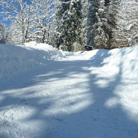Rodelbahn_Hirschberg, © Kimpf