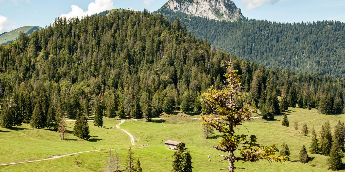 NK_Leben auf der Alm © Sabine Ziegler-Musiol_0254, © DER TEGERNSEE