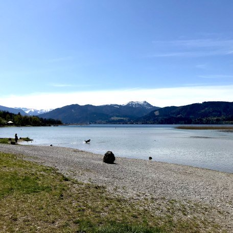 hundestrand_1, © Der Tegernsee