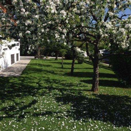Unser sch&ouml;ner Garten, &copy; im-web.de/ Tourist-Information Bad Wiessee