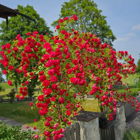 https://images.bs.ds-srv.net/objekt_pics/obj_full_32086_011.jpg, &copy; im-web.de/ Tourist-Information Gmund am Tegernsee