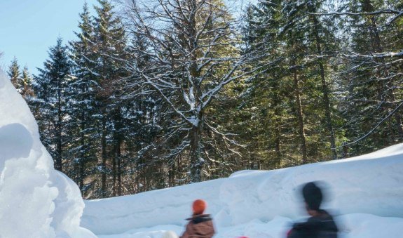 Rodelbahn Obere Firstalm, &copy; Alpenregion Tegernsee Schliersee