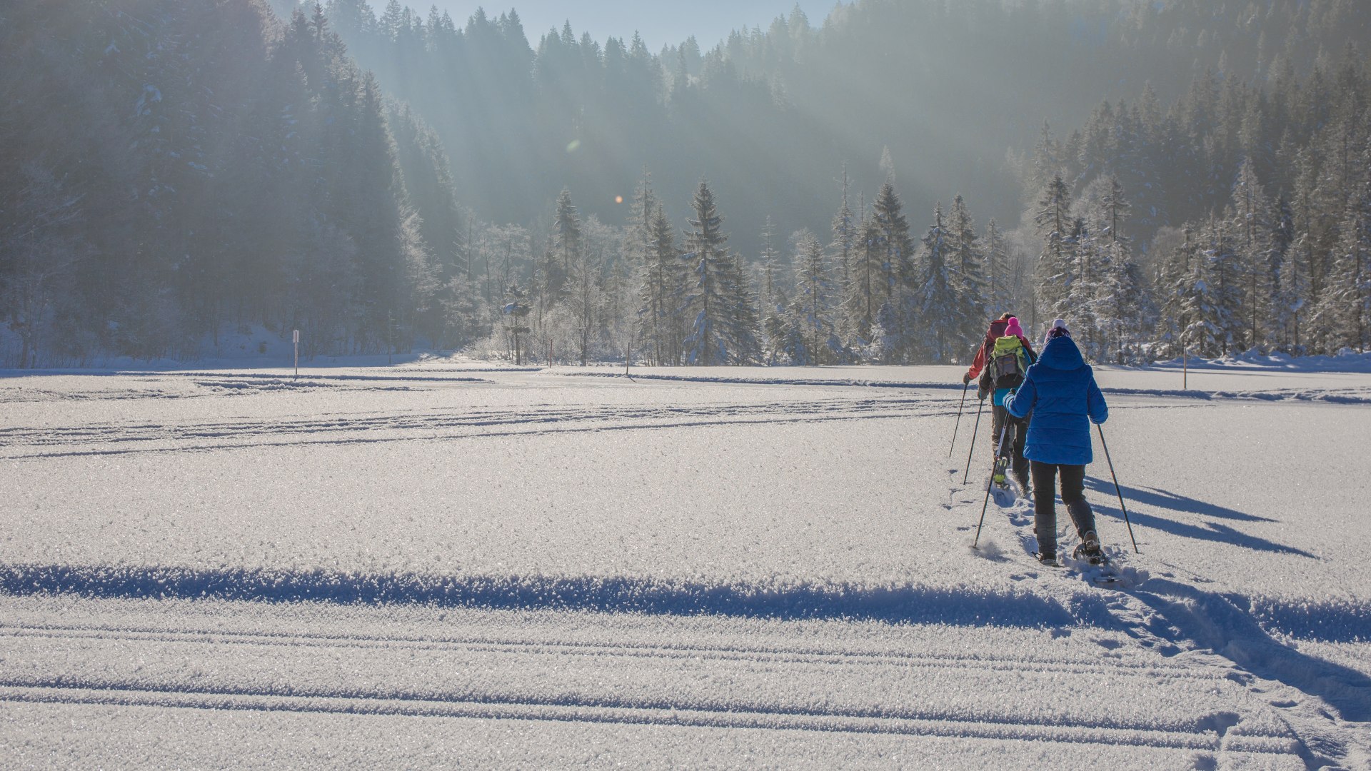 Schneeschuhwandern im Suttengebiet, © Christoph Schempershofe