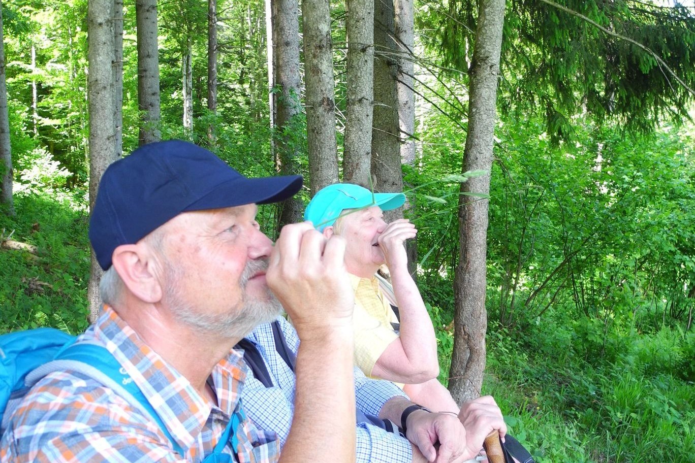 Augenwandern, &copy; Der Tegernsee