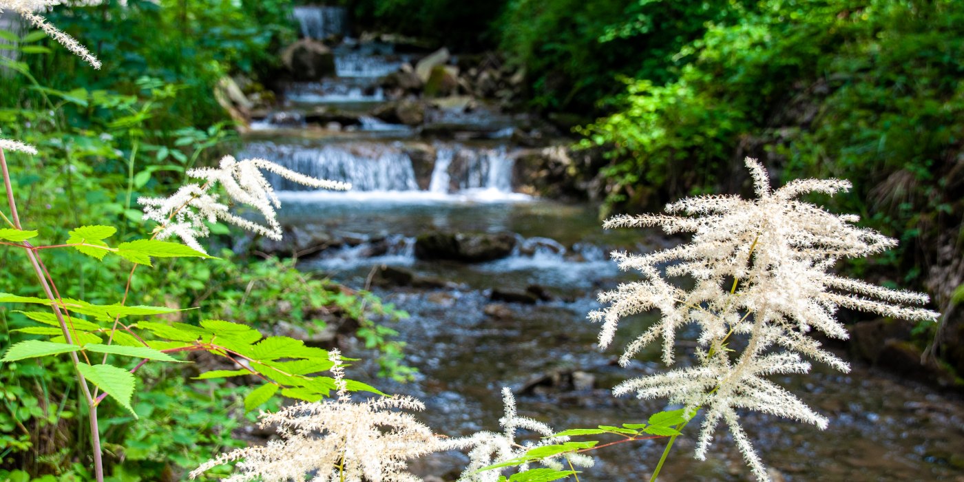 Brandner Kaspar_Alpbachtal &copy; Der Tegernsee, Sabine Ziegler-Musiol, &copy; DER TEGERNSEE, Sabine Ziegler-Musiol