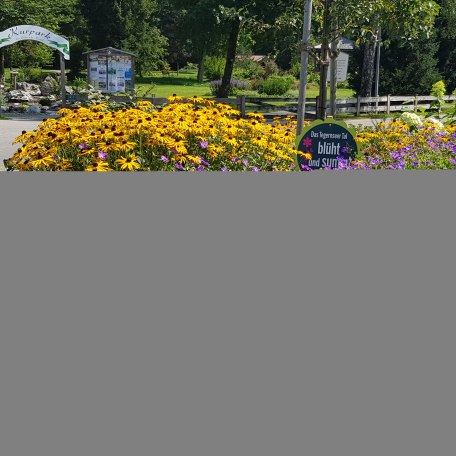 Blühwiese am Trinkbrunnen in Kreuth, © kimpfbeck