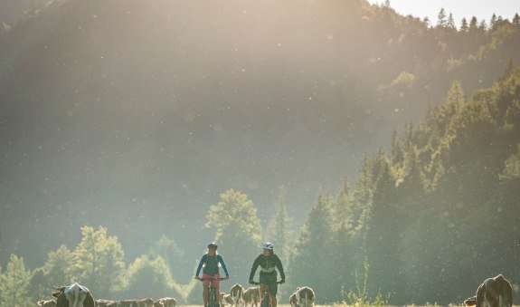 Kleine Marathonrunde (Tour Nr. 37 aus dem "RadlTraum Süd"), © Alpenregion Tegernsee Schliersee