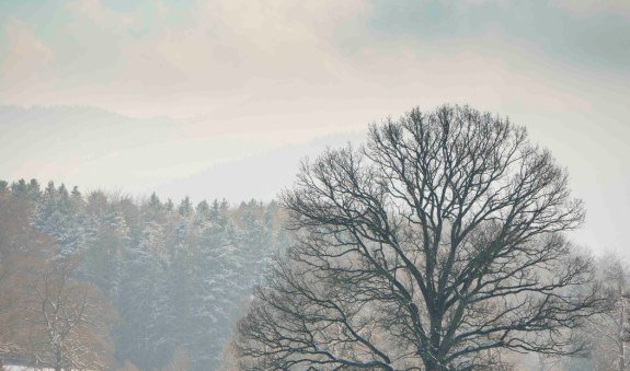 Auf den Jasberg, &copy; Alpenregion Tegernsee Schliersee