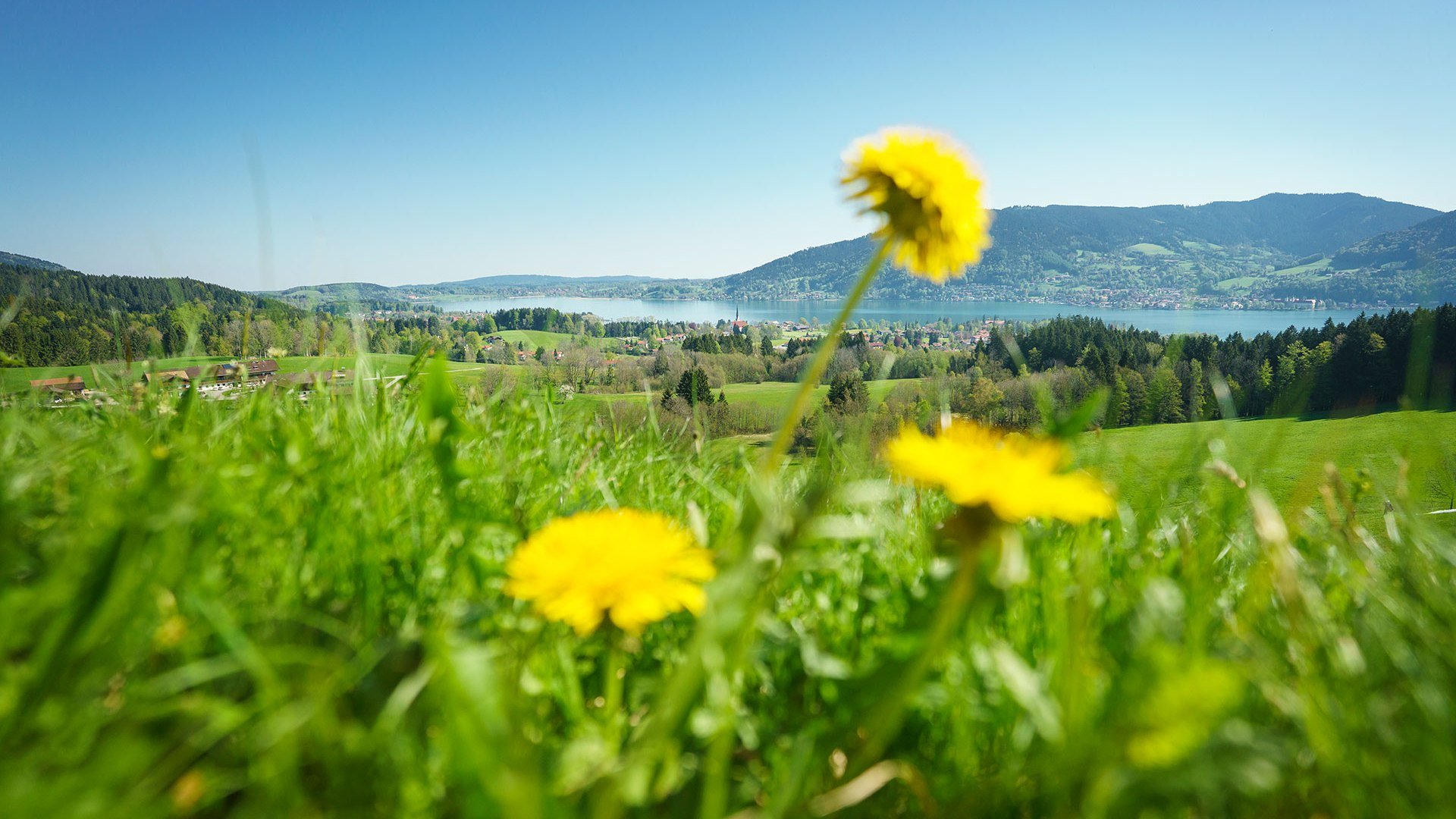 Blick auf Bad Wiessee im Frühling, © Der Tegernsee, Dietmar Denger