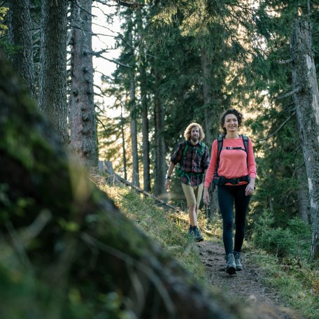 NK_Bewirtschaftung Bergwald © Julian Rohn-0041