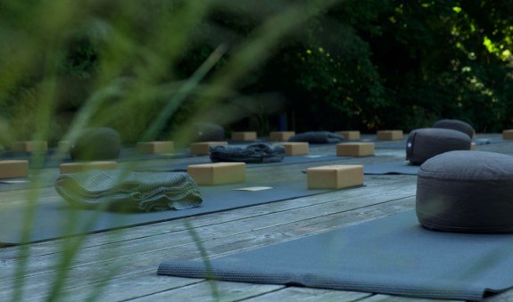 DSCF0813, &copy; Blyb.