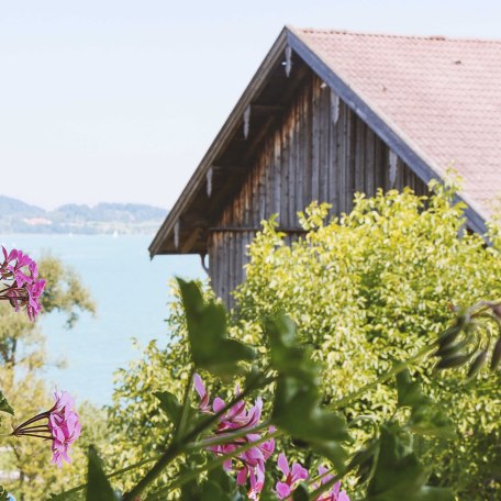 Ausblick auf den See von der Ferienwohnung Troadkasten, © im-web.de/ Tourist-Information Bad Wiessee