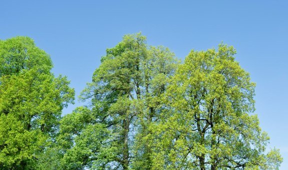 Kids-Bike-Runde, &copy; Unbekannt