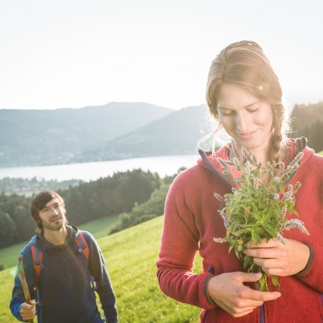 Kraeuterwanderung &copy; Der Tegernsee_Hansi Heckmair (1), &copy; Hansi Heckmair