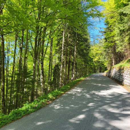 20250512_152759, © Andreas Kimpfbeck 20250512_152759, © Andreas Kimpfbeck