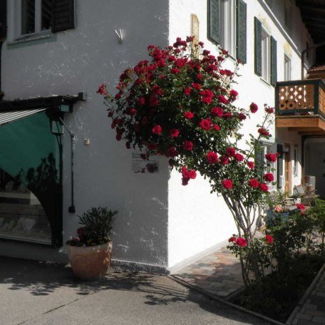 https://images.bs.ds-srv.net/objekt_pics/obj_full_80004_008.jpg, © im-web.de/ Tourist Information Tegernsee