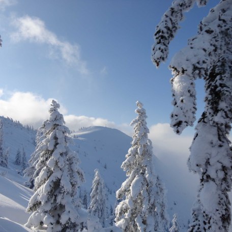 Schneewandern, &copy; im-web.de/ Tourist-Information Kreuth