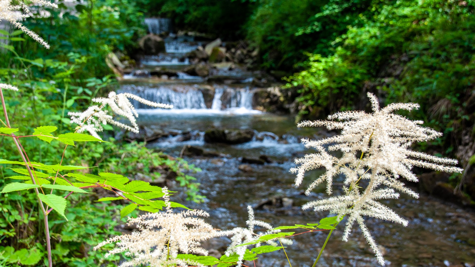 Brandner Kaspar_Alpbachtal &copy; Der Tegernsee, Sabine Ziegler-Musiol, &copy; DER TEGERNSEE, Sabine Ziegler-Musiol