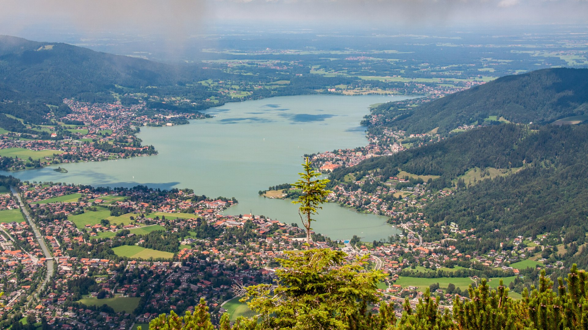 wallberg-rottach1