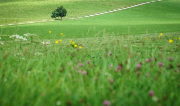 Holzkirchen, &copy; Alpenregion Tegernsee Schliersee