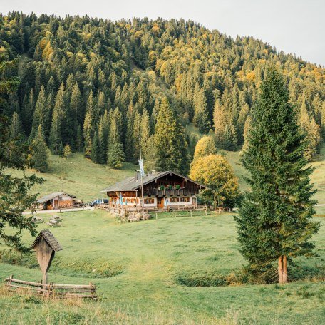 NK_KeyVisual_Musi Schwarzentenn Alm &copy; Julian Rohn_0011, &copy; DER TEGERNSEE