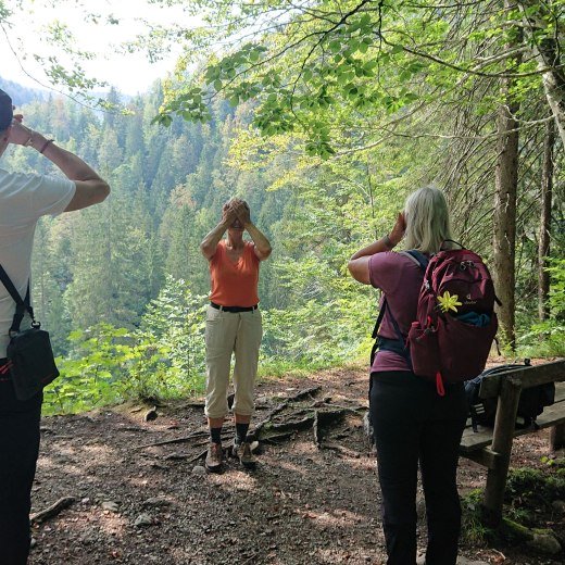 Augenwandern, © Sabine Nagl Augenwandern, © Sabine Nagl