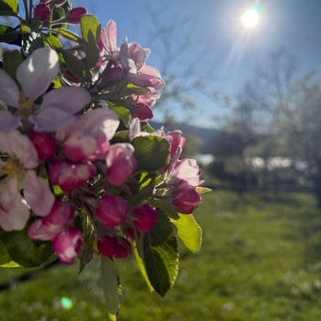 https://images.bs.ds-srv.net/objekt_pics/obj_full_32086_013.jpg, &copy; im-web.de/ Tourist-Information Gmund am Tegernsee