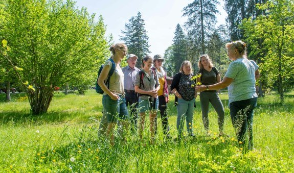 TTT_0524_TP_Event_Natuerlich Kreuth_Kraeuterwanderung_0010, &copy; TTT-Thomas Plettenberg