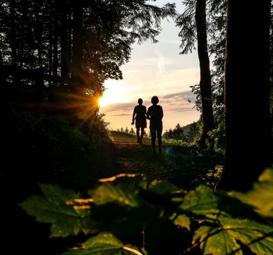 Höhenweg Herbst, © Der Tegernsee (Isabelle Munstermann)